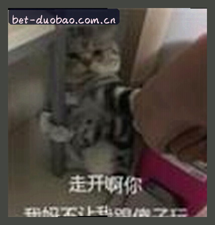 赵磊